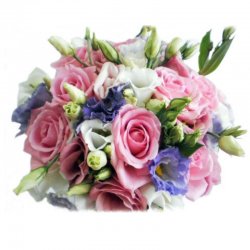 זר ליזיאנטוס 791